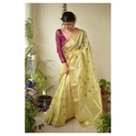 Handwoven Chanderi Pattu silk saree with silk thread flower motif and silk border