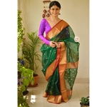 Handwoven chanderi katan silk saree with gold jari woven border and jari bootis motifs.