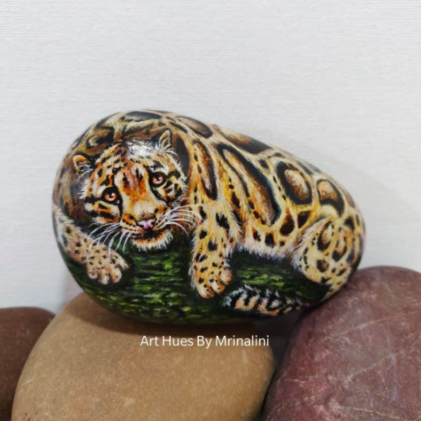 Clouded Leopard Rock Painting for wildlife lovers
