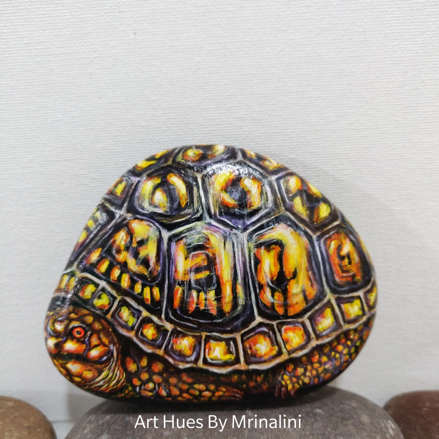 Turtle painted rock, unique handmade gifts, Wildlife art for animal lovers