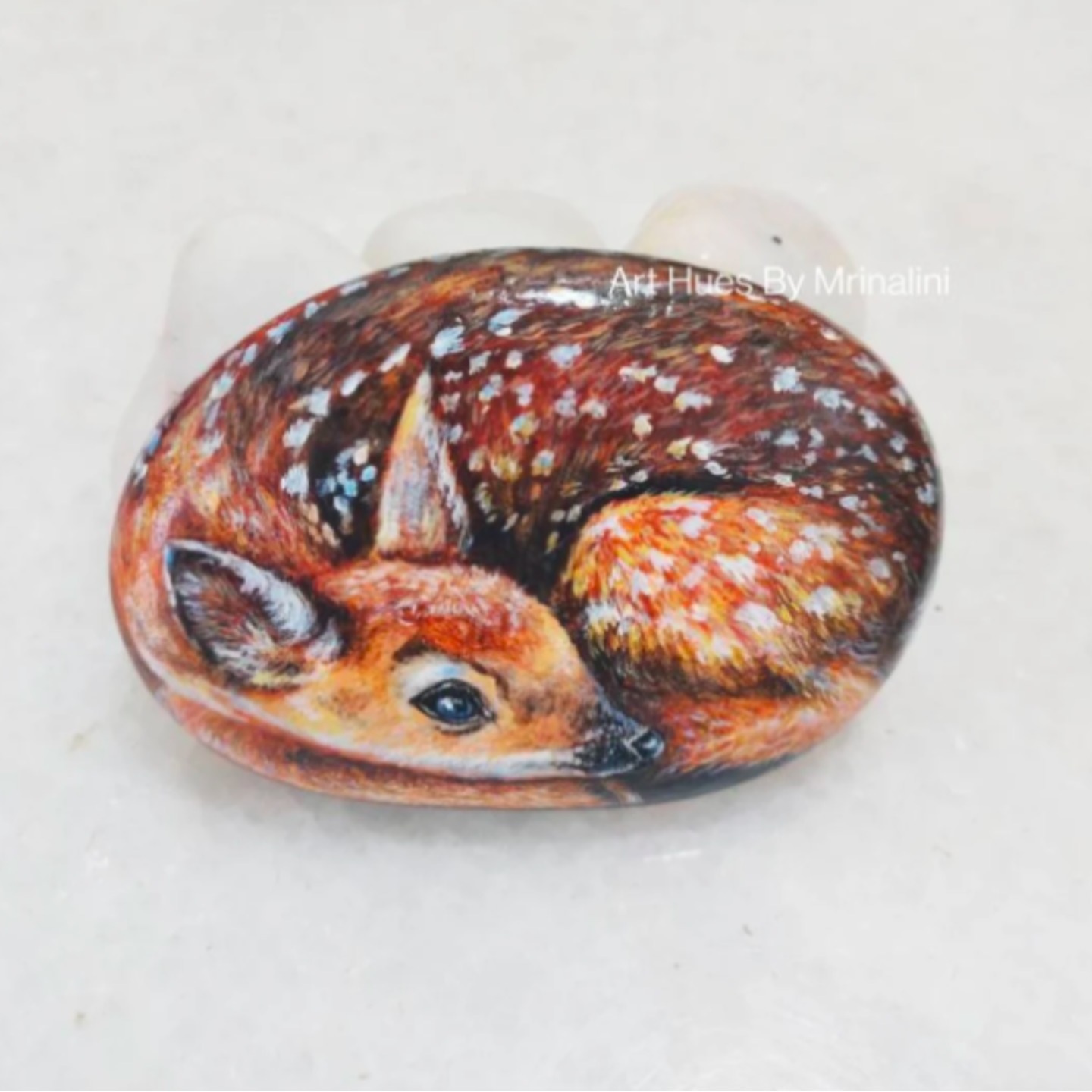 Cute Fawn painted rock