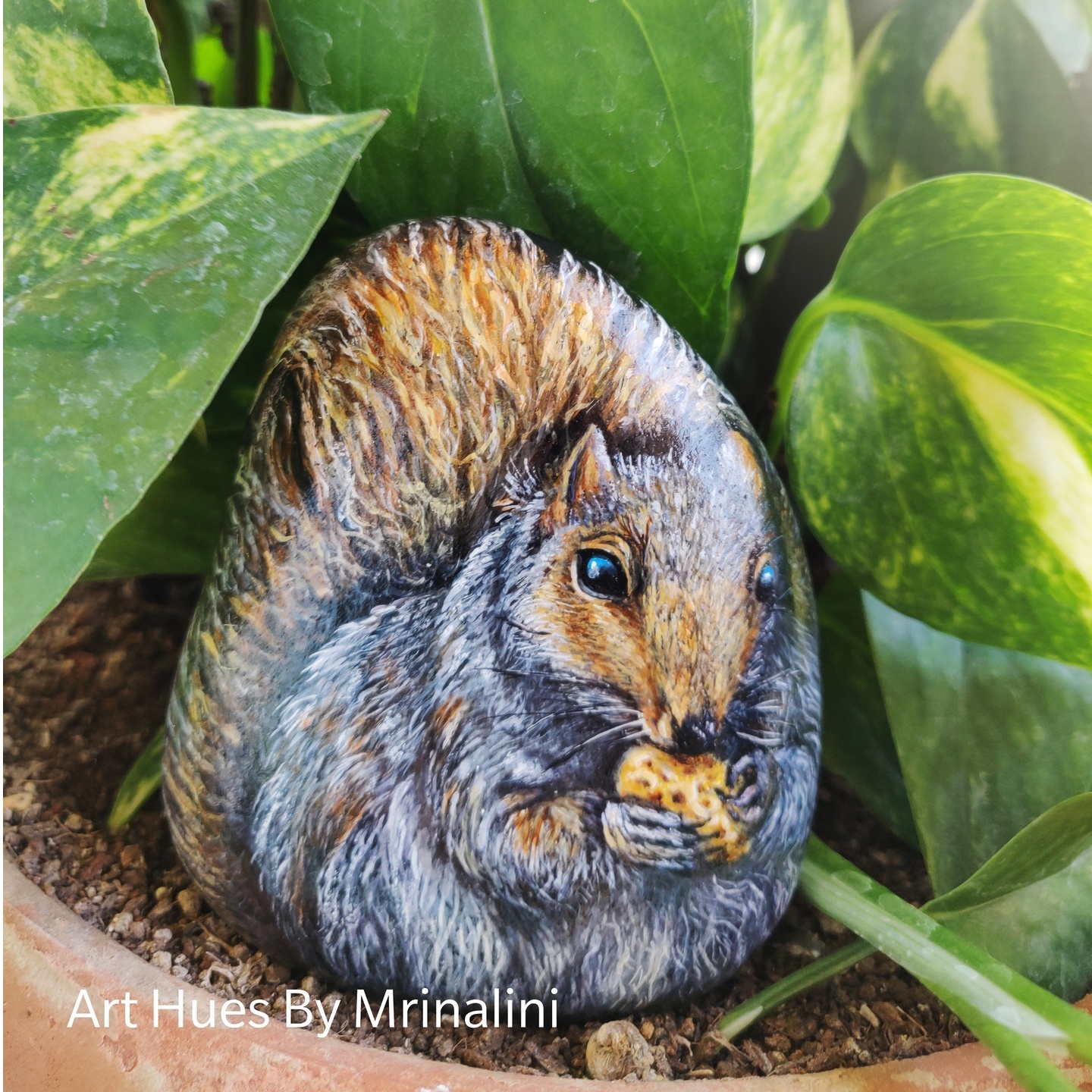 Grey Squirrel, painted rock, pet rock, garden rocks, wildlife art, Woodland animal