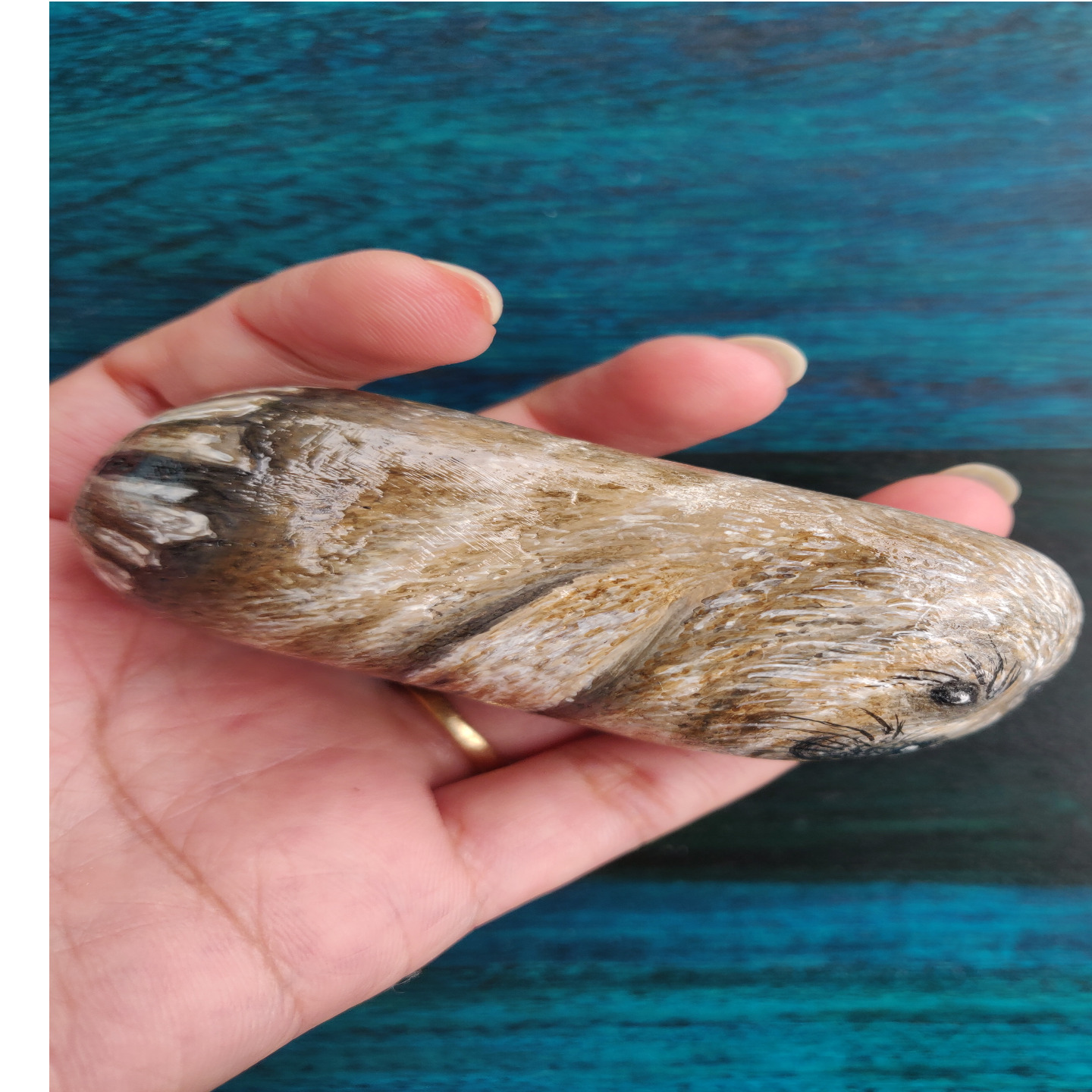 Cute Baby Seal hand painted stone art for gifting