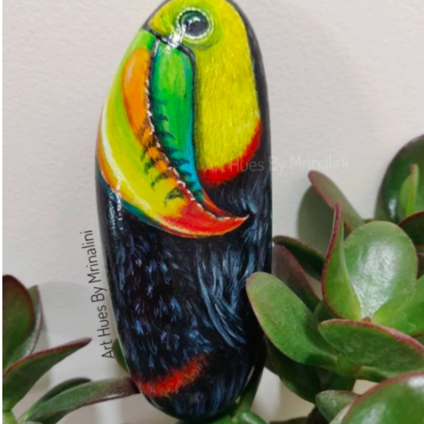 Colorful Toucan Rock Painting, unique gift for bird lovers