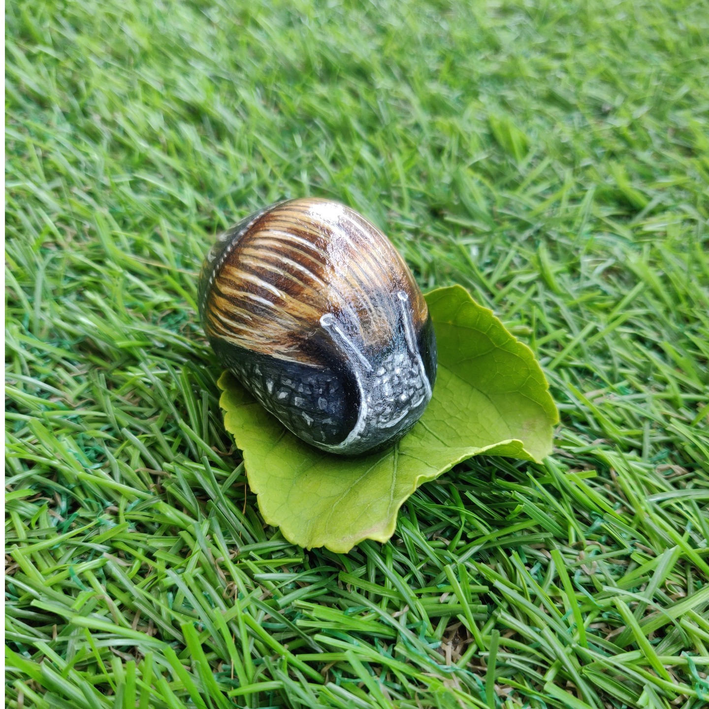 Realistic 3D Snail hand painted rock