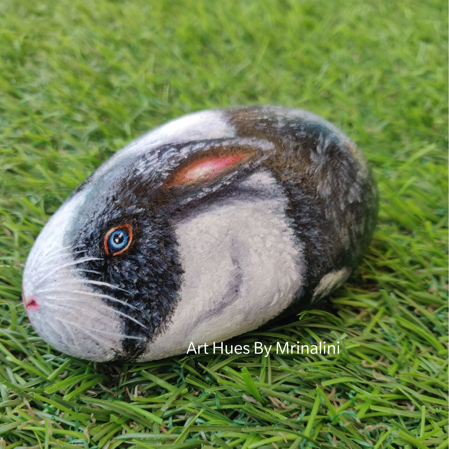 Rabbit Painted rock, Realistic Bunny, painting, gift, paperweight, Dutch Rabbit art