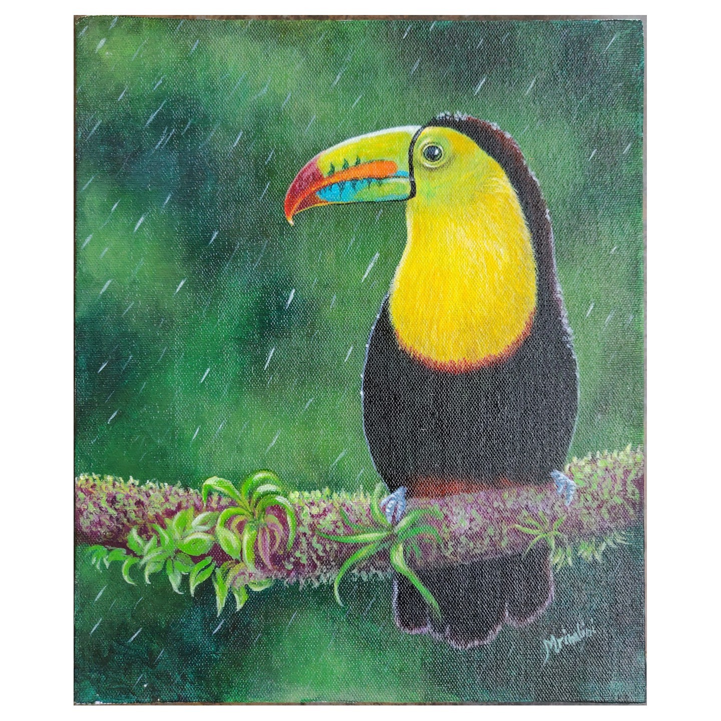 Toucan Original Canvas painting, Tropical bird art, Realistic Original drawing for Nature and wildlife lovers Active
