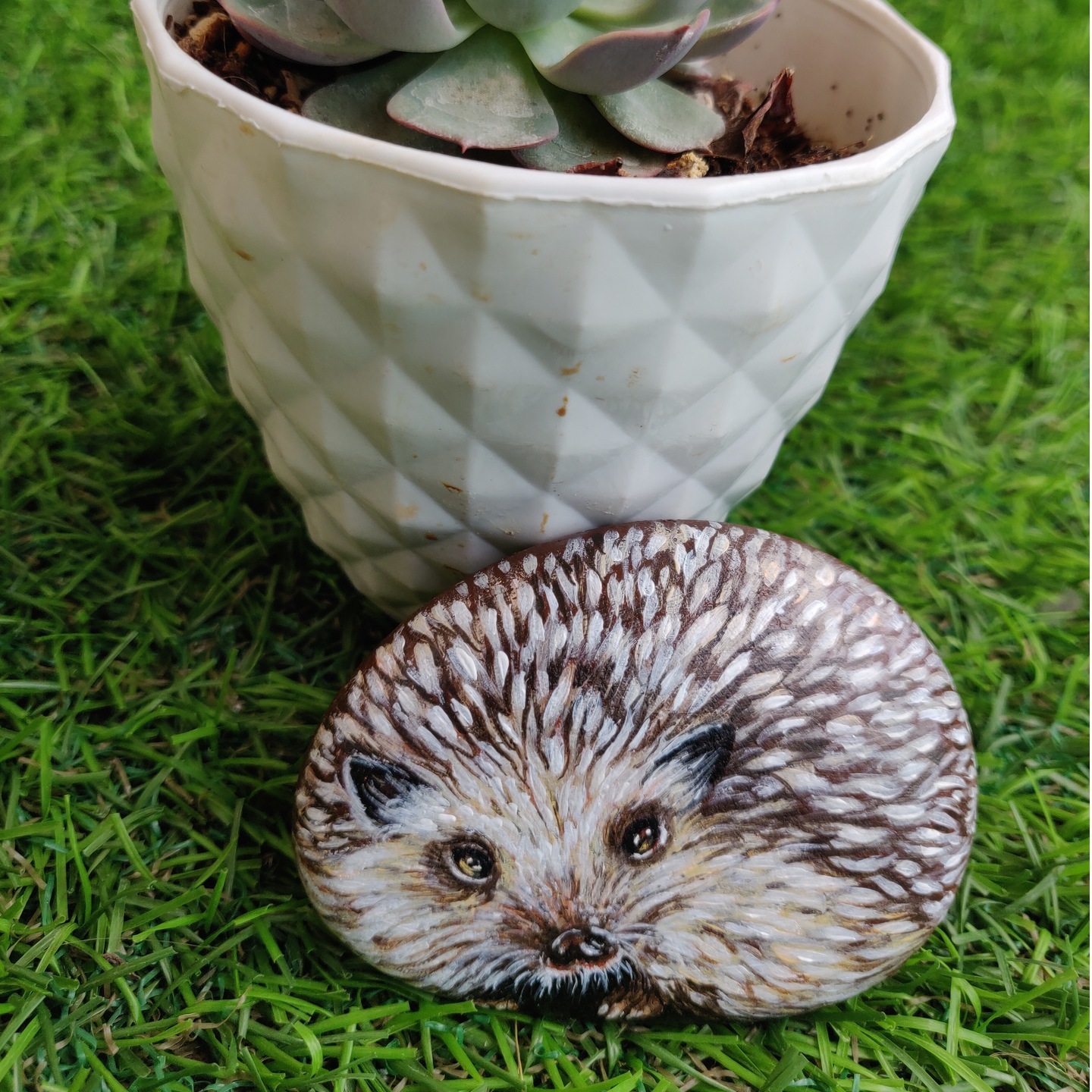 Pet animal Hedgehog handpainted on rock for garden decor, gifting