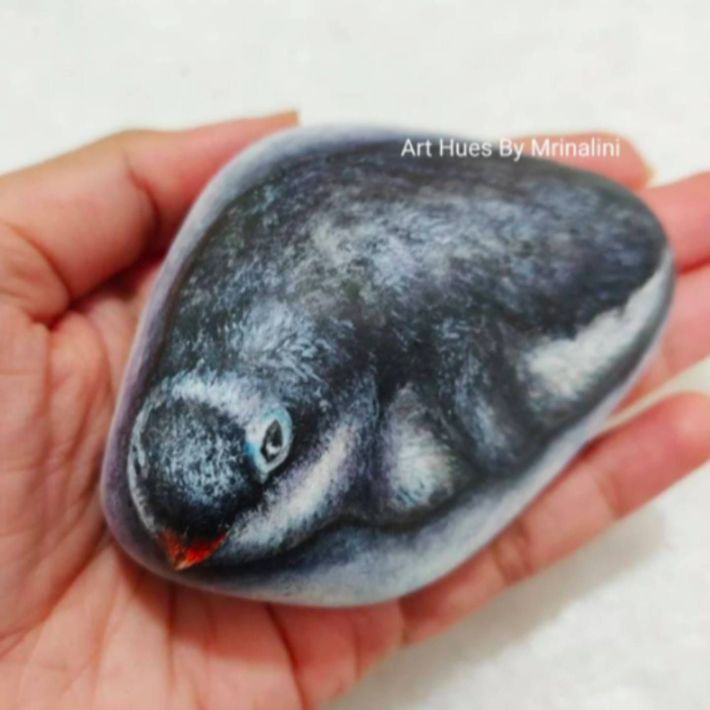 Gentoo Penguin hand painted rock paperweight