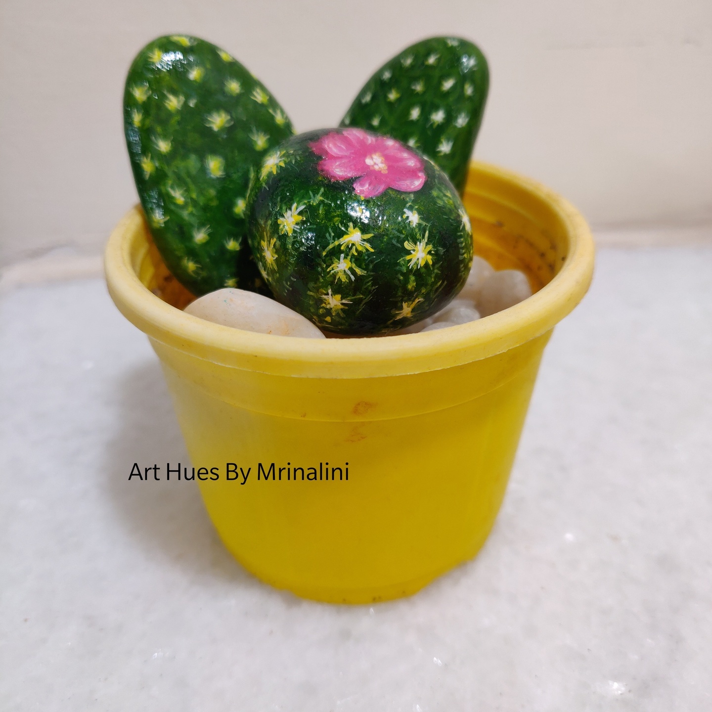 Set of 4 hand painted cacti , garden or desk decor