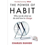 The Power of Habit (English, Paperback, Duhigg Charles)