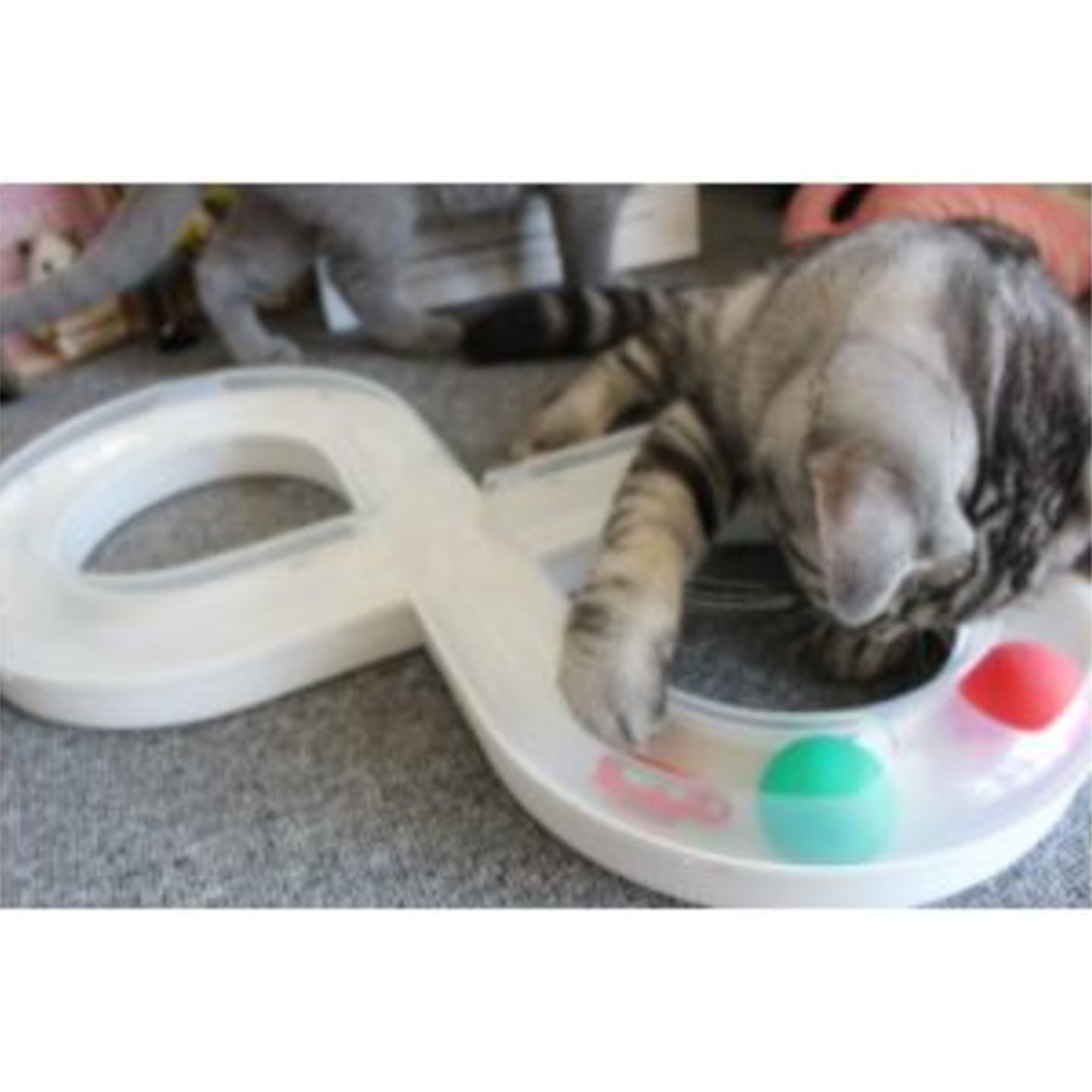 Cat Figure 8 interactive trackball 