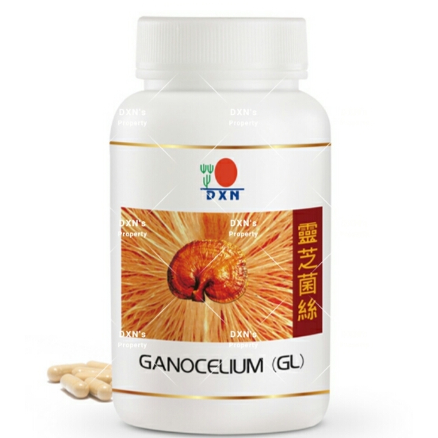DXN Ganocelium GL 90 capsules
