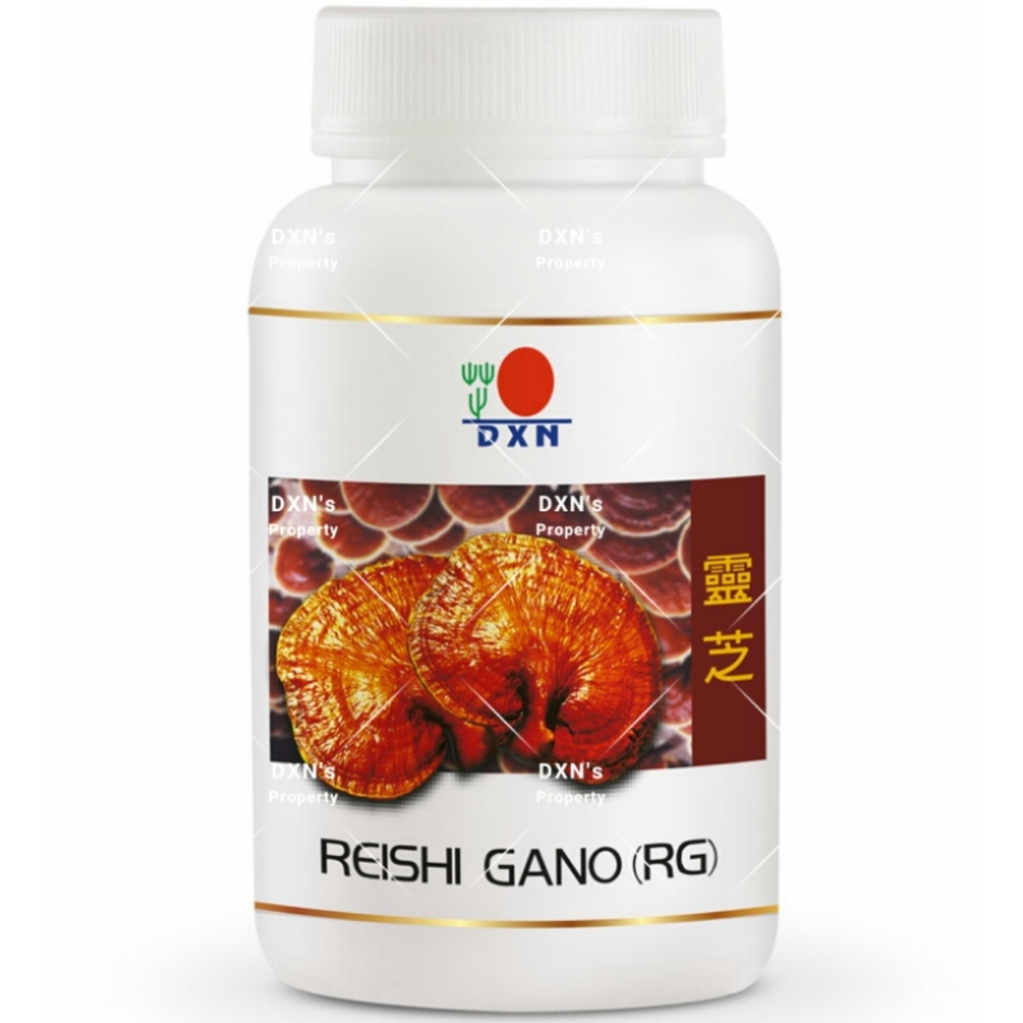 DXN Reishi Gano RG 360 capsules