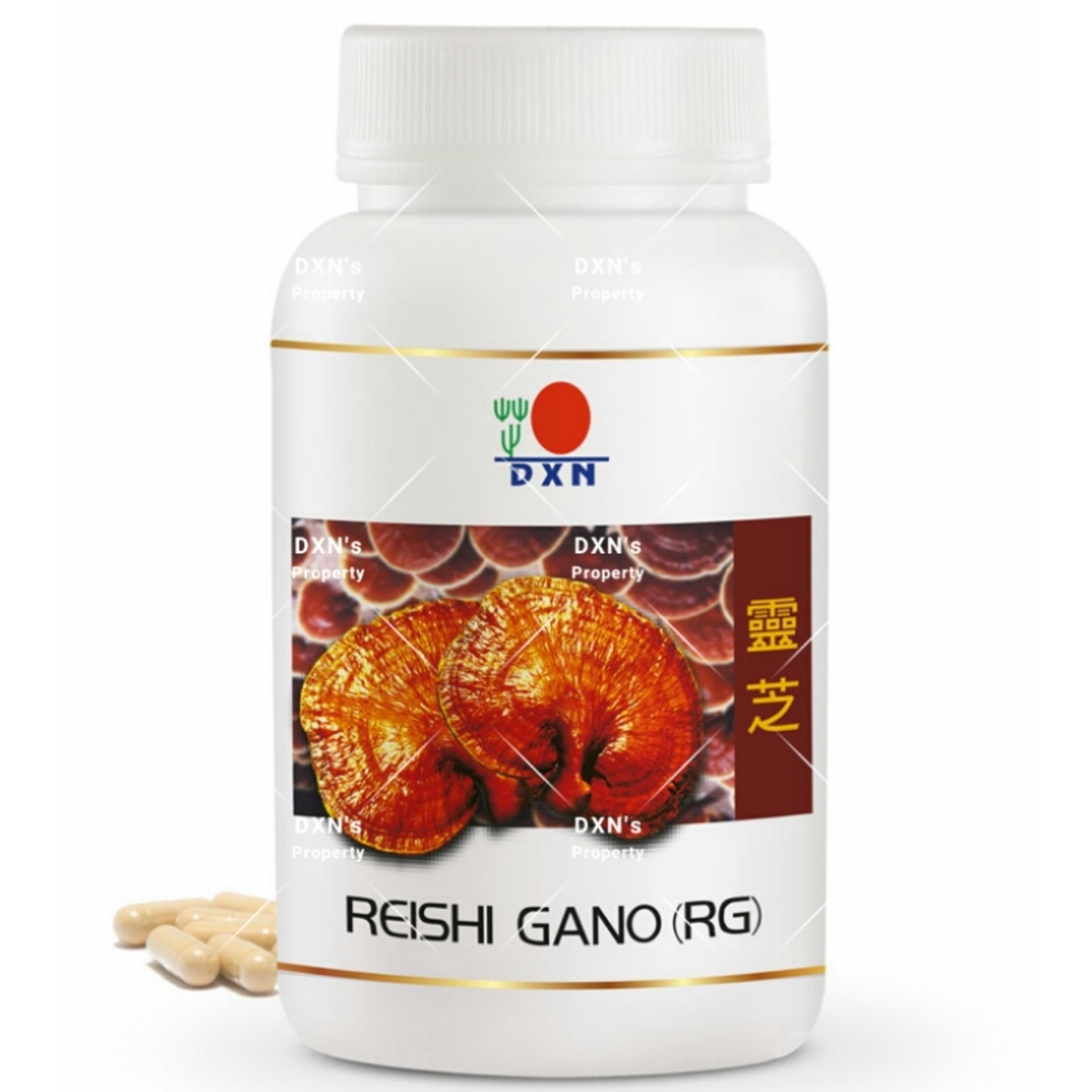DXN Reishi Gano RG 90 capsules