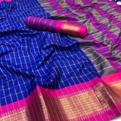 Modern graceful sarees