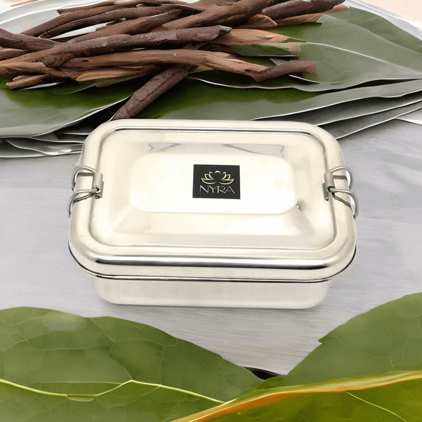 Nyra Stainless Steel Food Pack Lunch Box for SchoolOffice Tiffin Box with Locking Clip for KidsAdults
