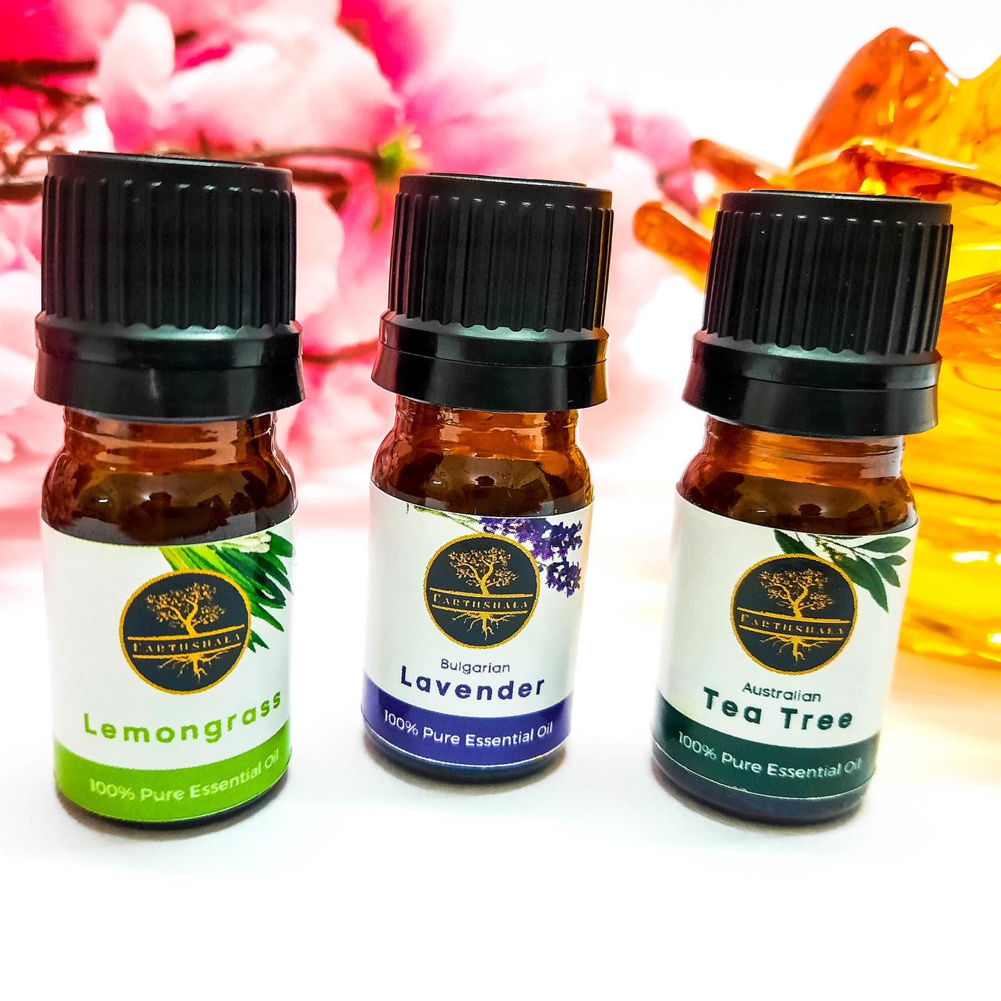 Essential Oils Pack of 3 - Tree Oil,  Lavender Oil and Lemongrass Oil