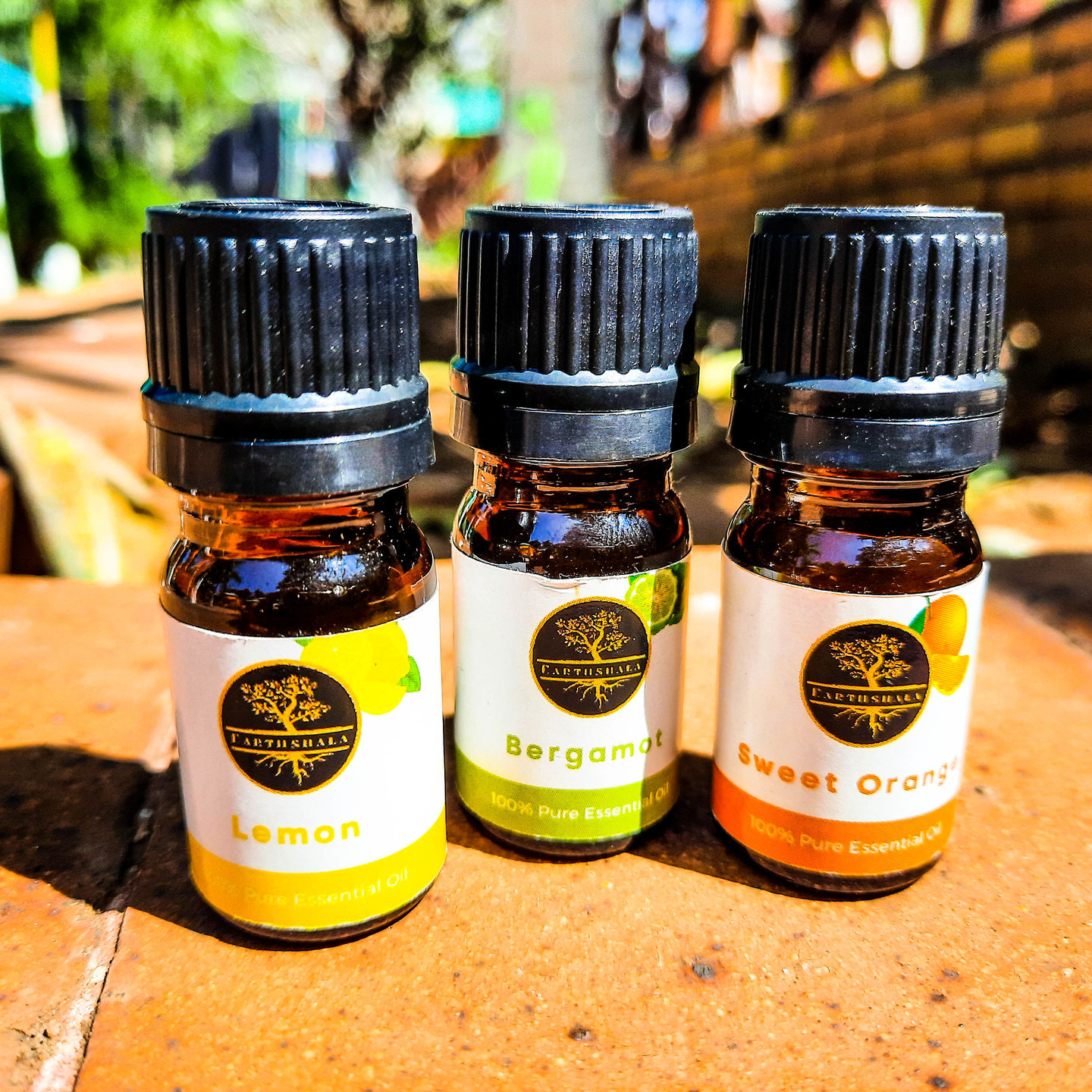 Citrus Bliss -  Sweet Orange, Lemon, Bergamot