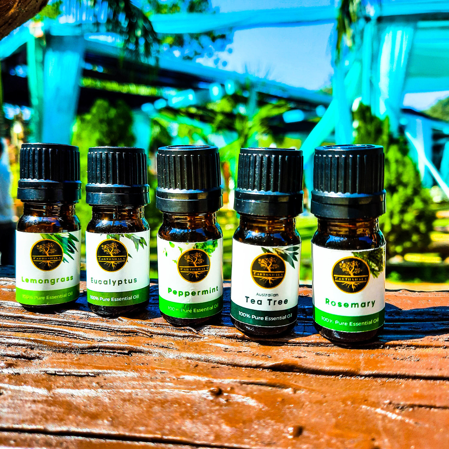 LUSH GREEN- Pack of 5 Essential Oils