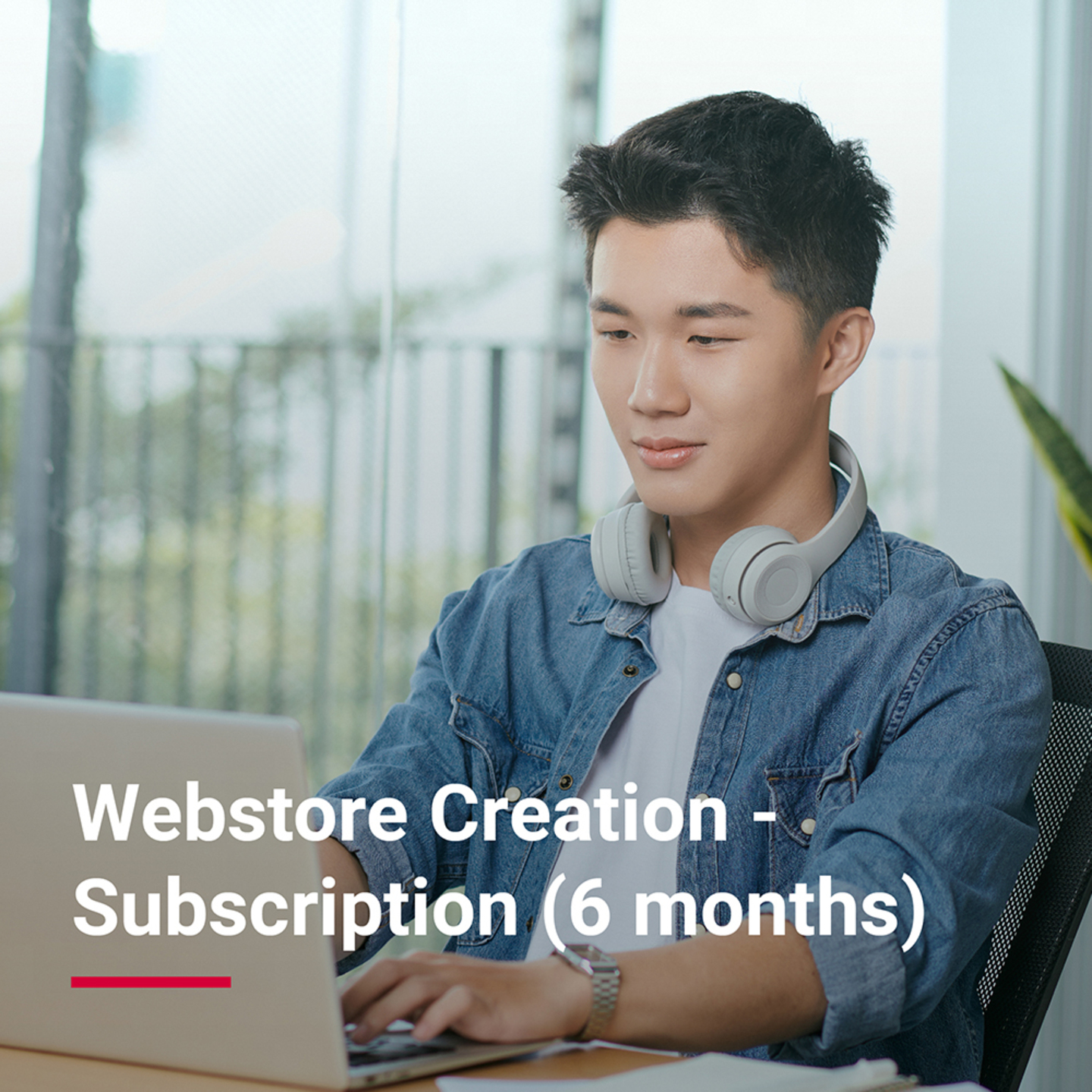 Webstore Creation - Subscription  6 months