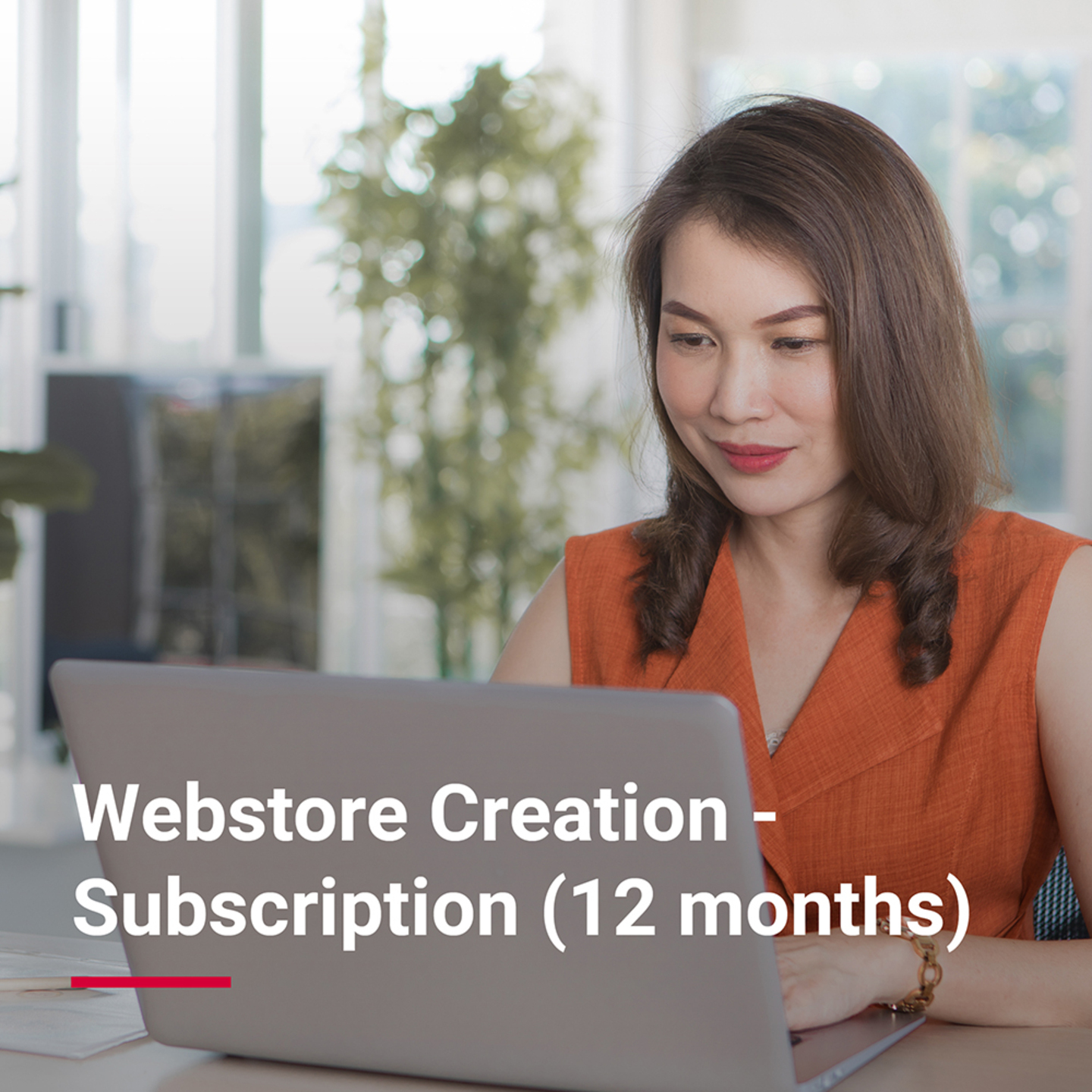 Webstore Creation - Subscription  12 months