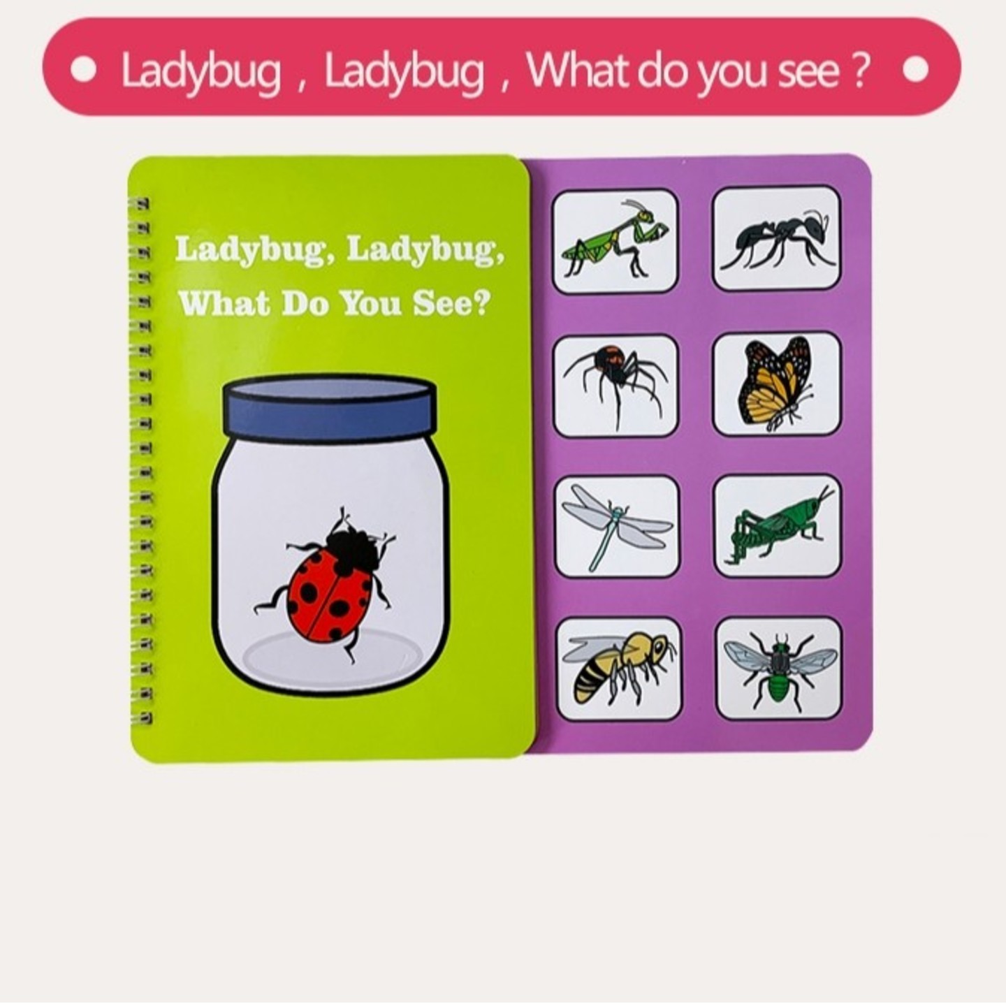 Interactive Activity Book 04
