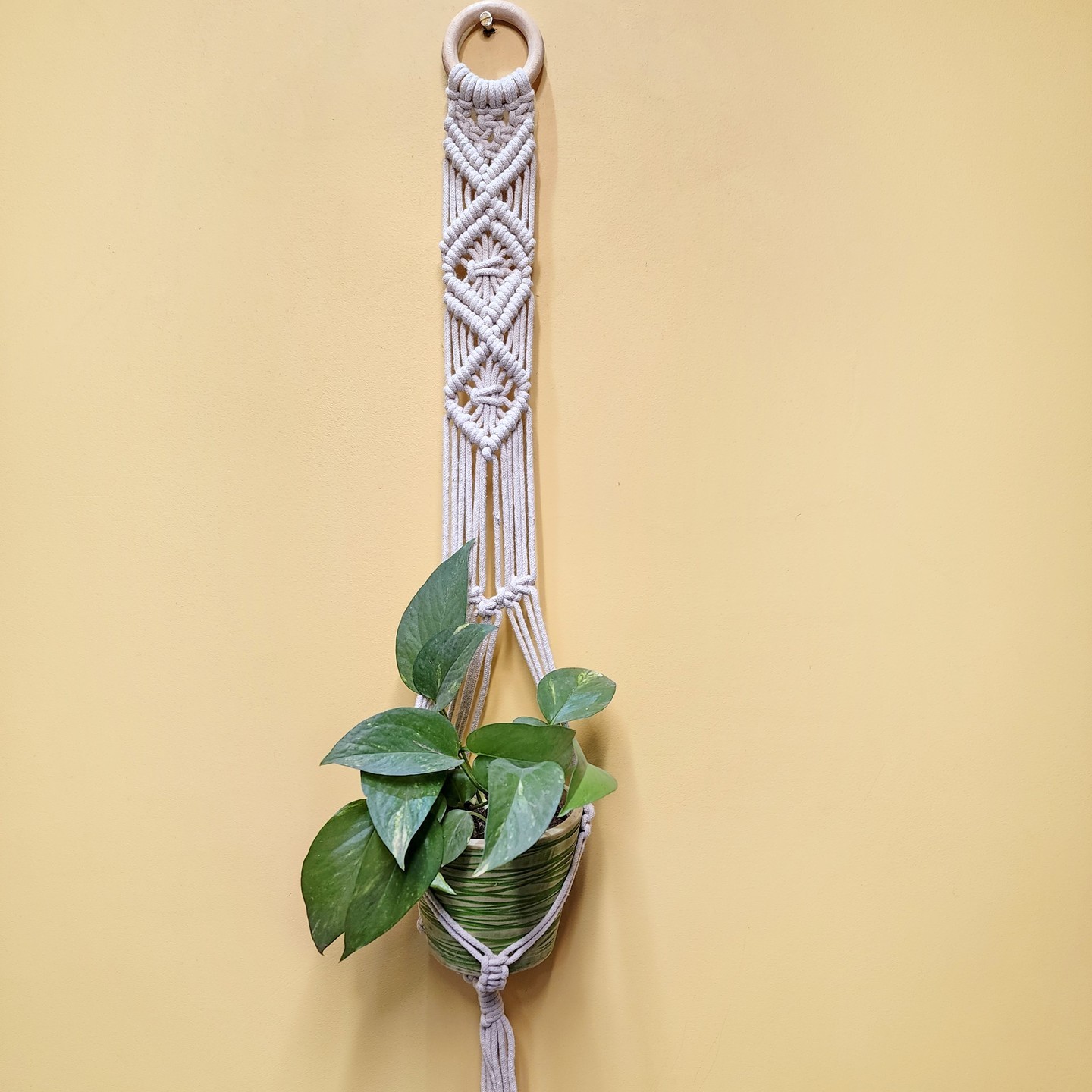Macrame Plant Hanger out Pot