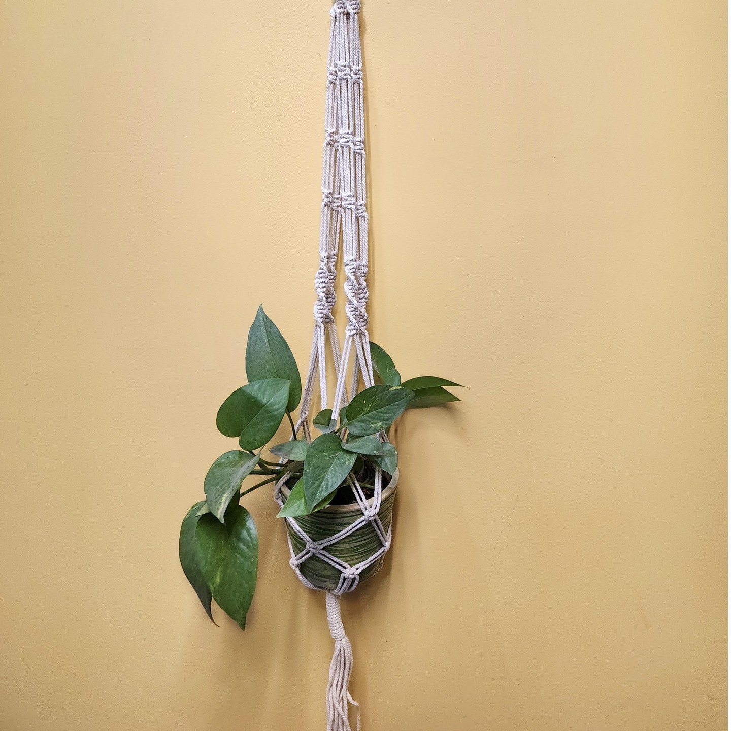 Macrame Plant Hangerpot not included