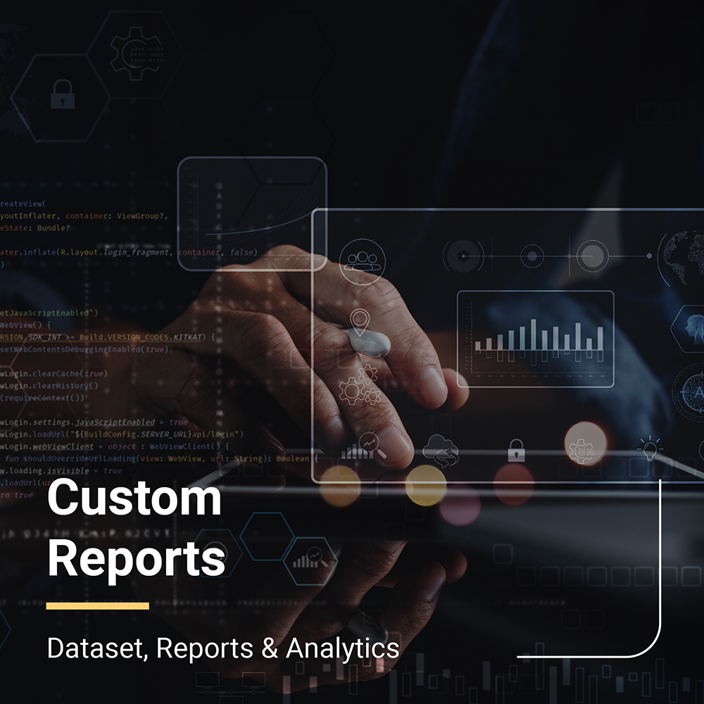 MMVAS-DR04 - Custom reports