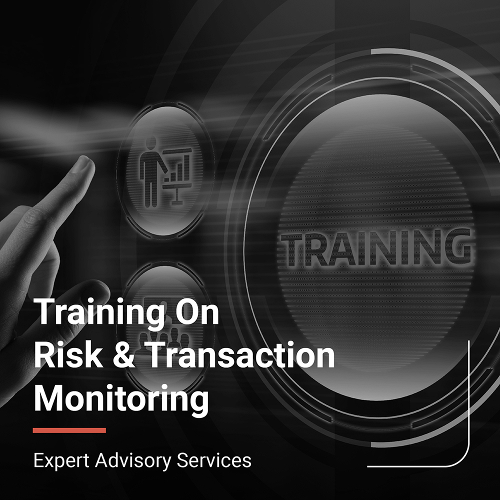 MMVAS-EA11 - Training on Risk & transaction monitoring