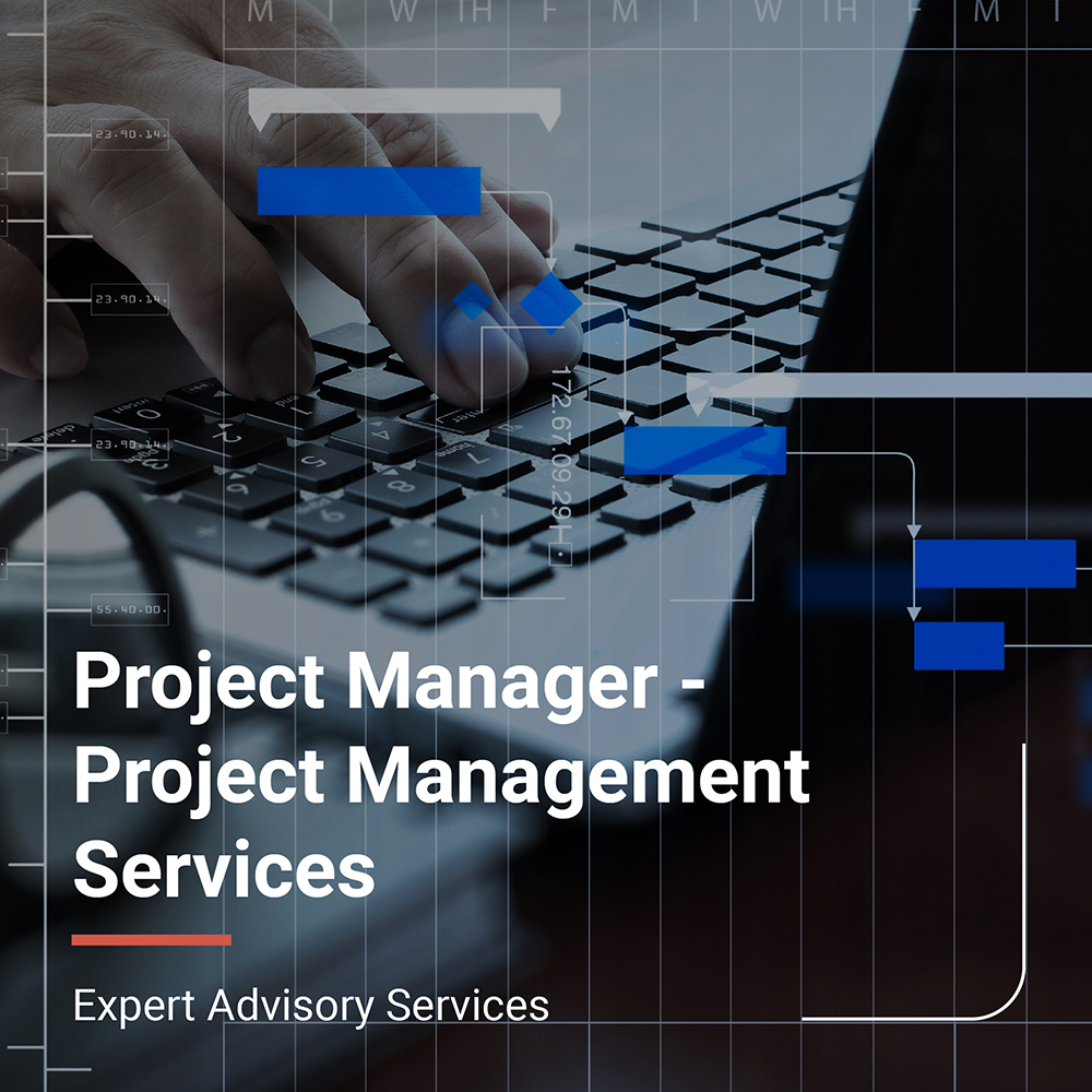 MMVAS-EA01 - Project Manager - Project management services