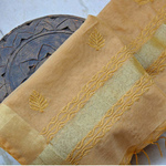 Beige Kota Doria Chikankari Dupatta
