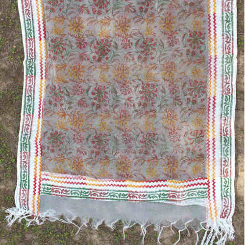 Silk Organza Handloom Block Printed StoleDupatta