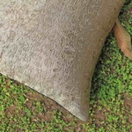 Embossed Brocade Cushion Cover-18x18