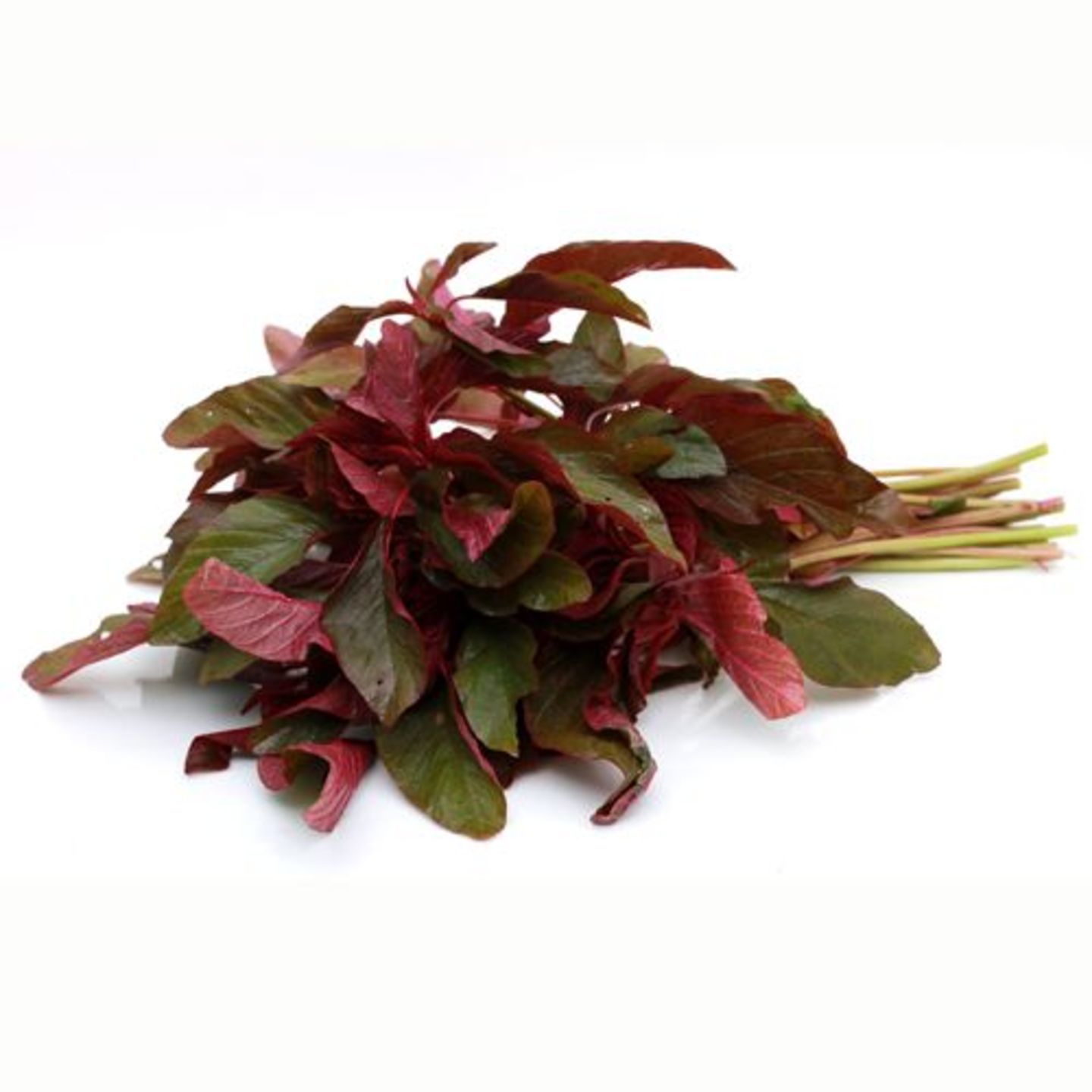 Amaranthus - Red, 250 g