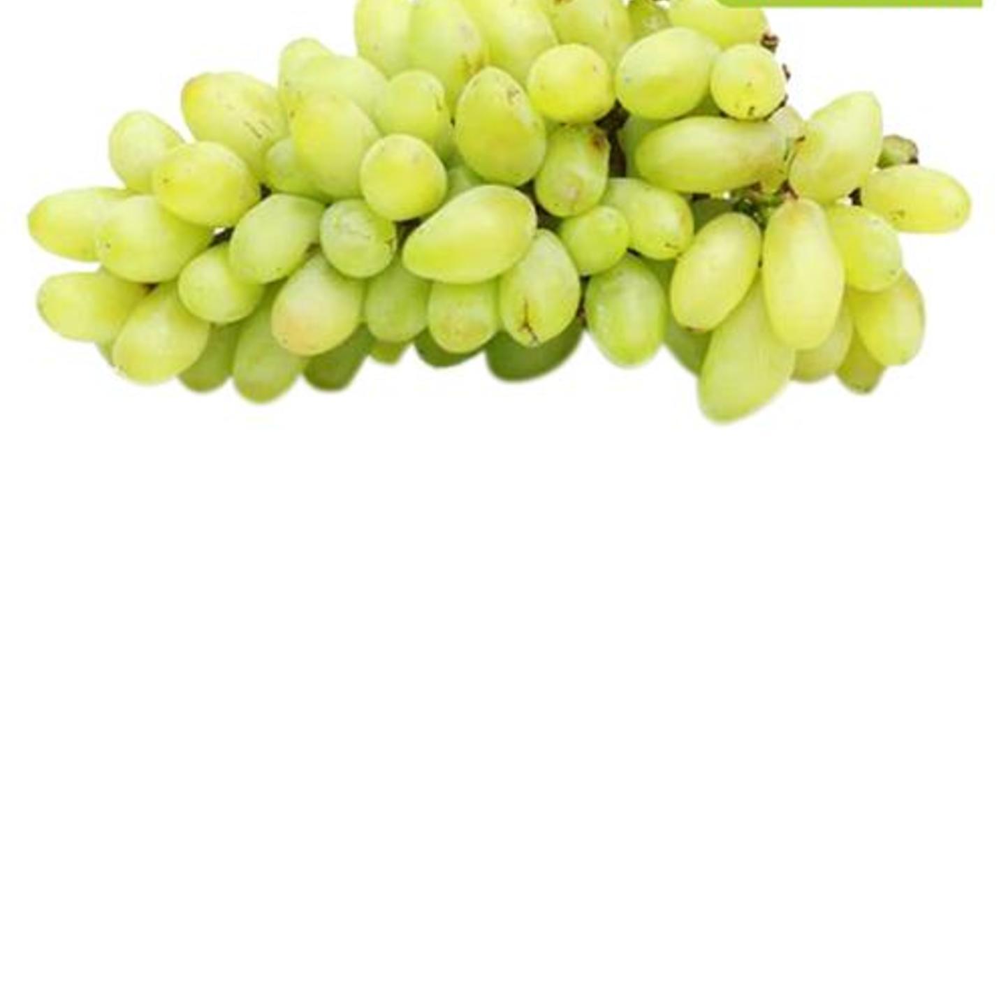 Grapes - Sonaka Seedless