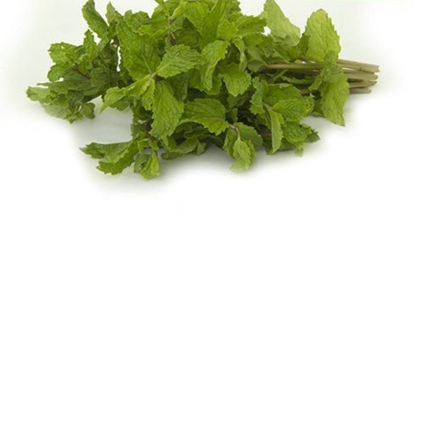 Mint Leaves, 100 g