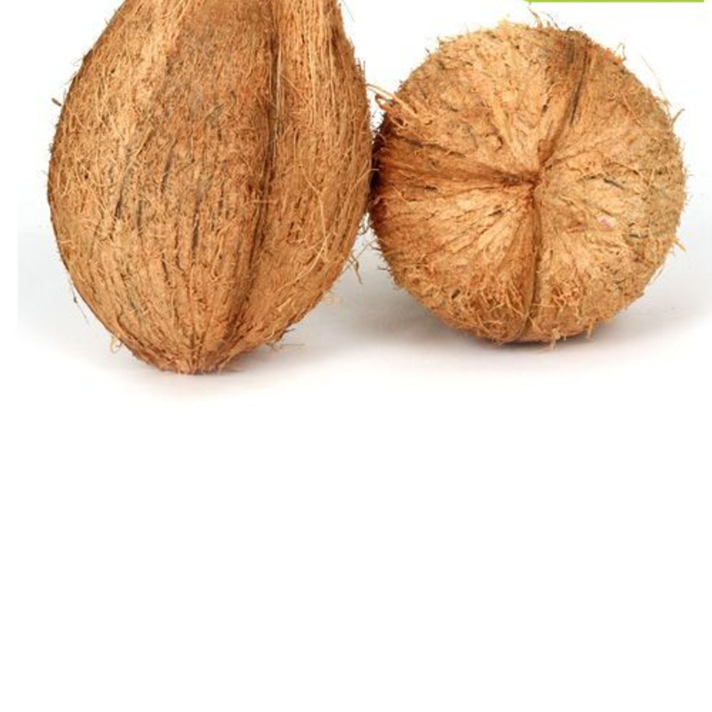 Coconut - Medium, 1 pc
