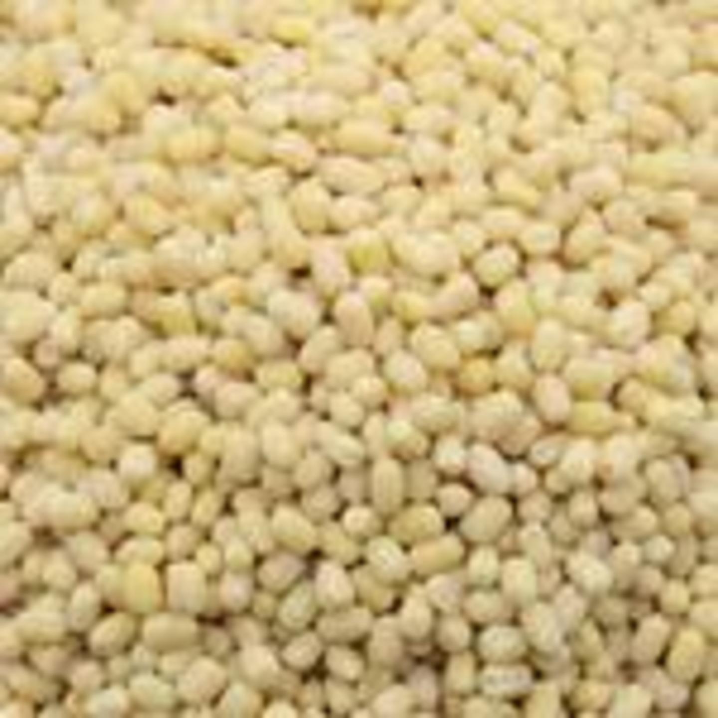 Urad Gota - Whole, 2 kg Pouch