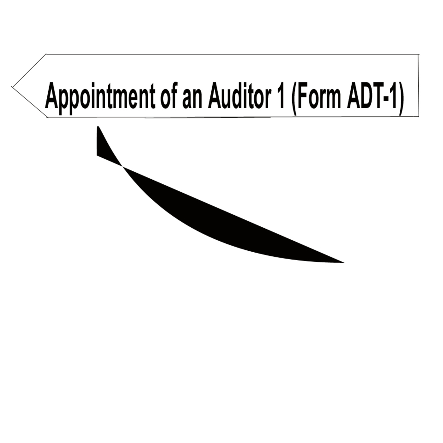 AUDIT