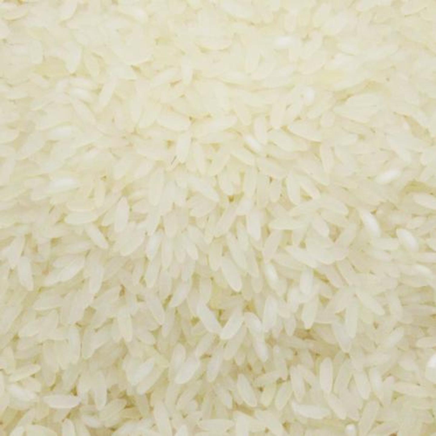 Sona Masoori, Rise 10 Kg