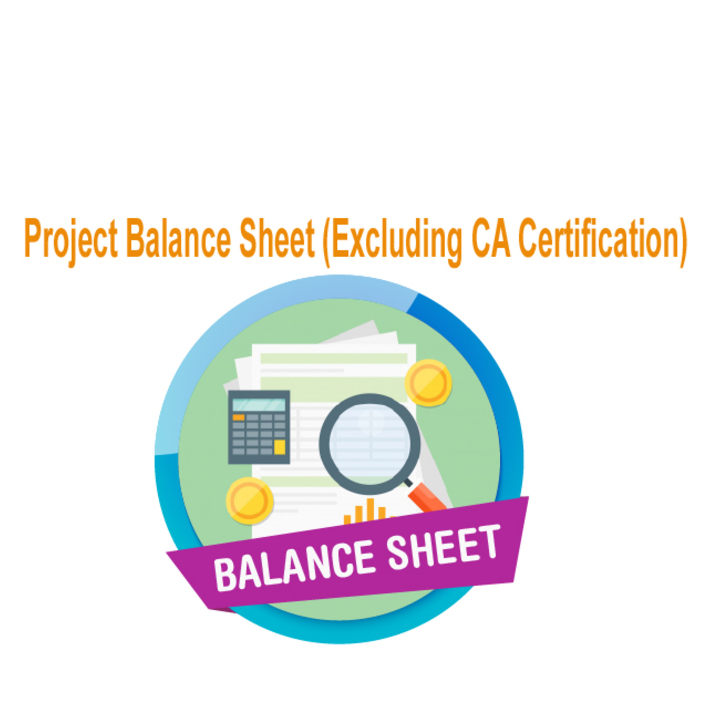 Project Balance Sheet Excluding CA Certification