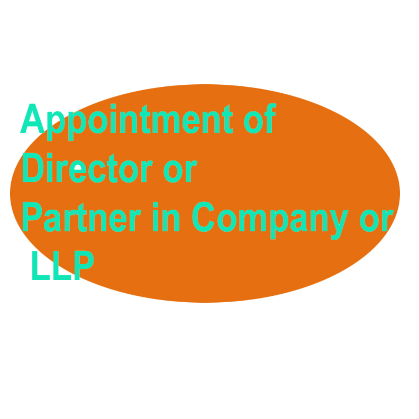 Appointment of Director or Partner in Company or LLP