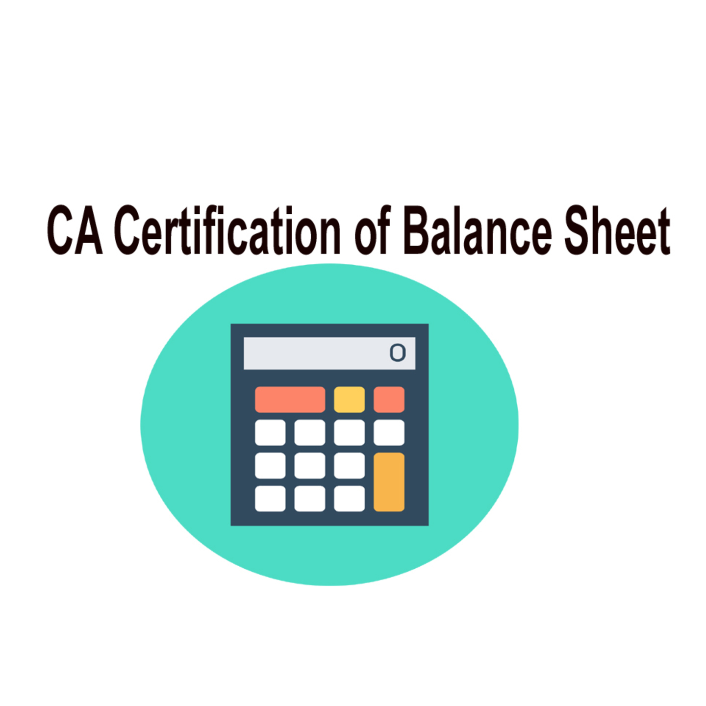 CA Certification of Balance Sheet 20 Lacs to 50 Lacs
