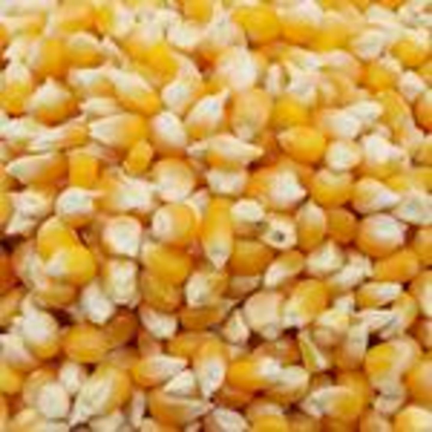 Royal Popcorn - Seeds, 500 g
