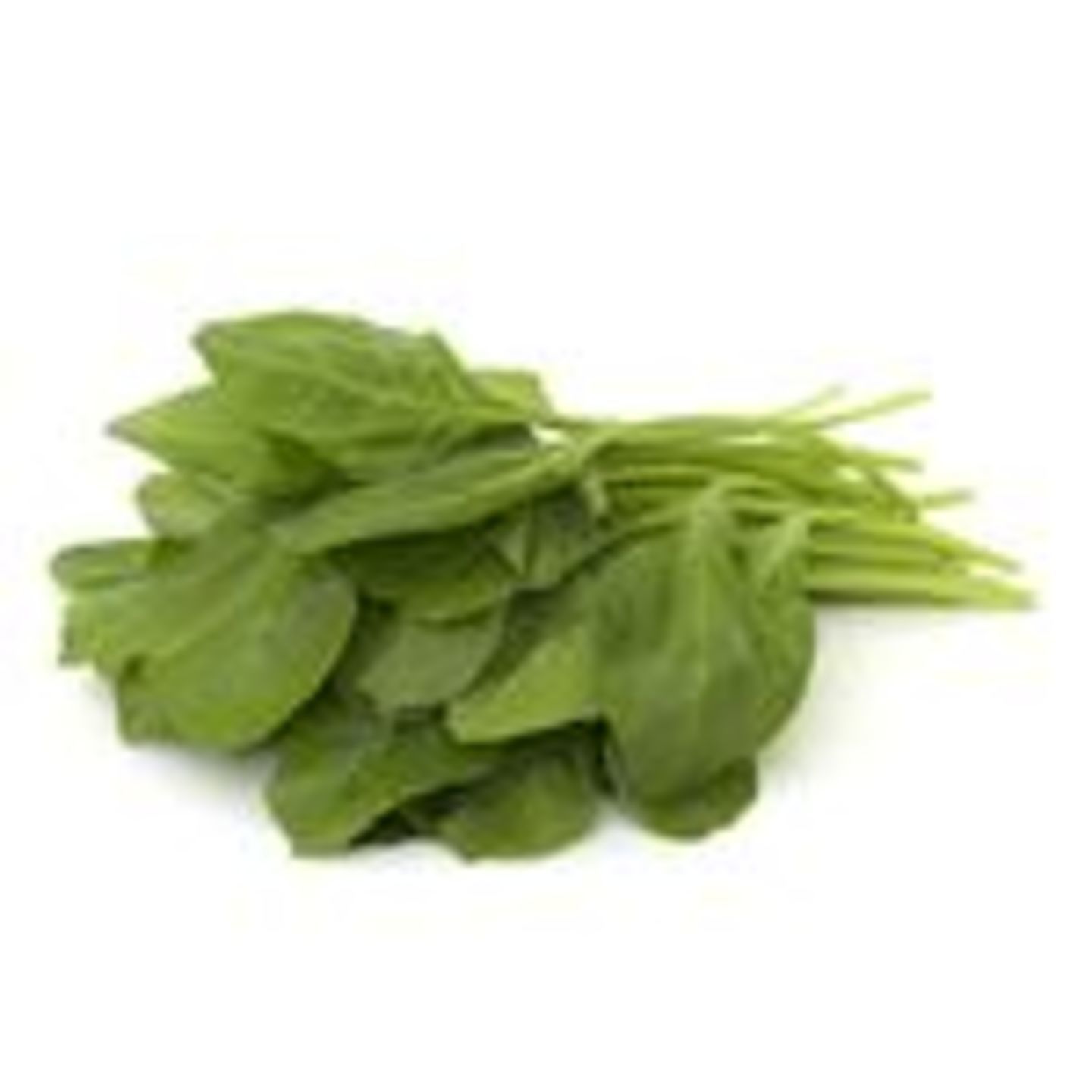 Palak, 100 g