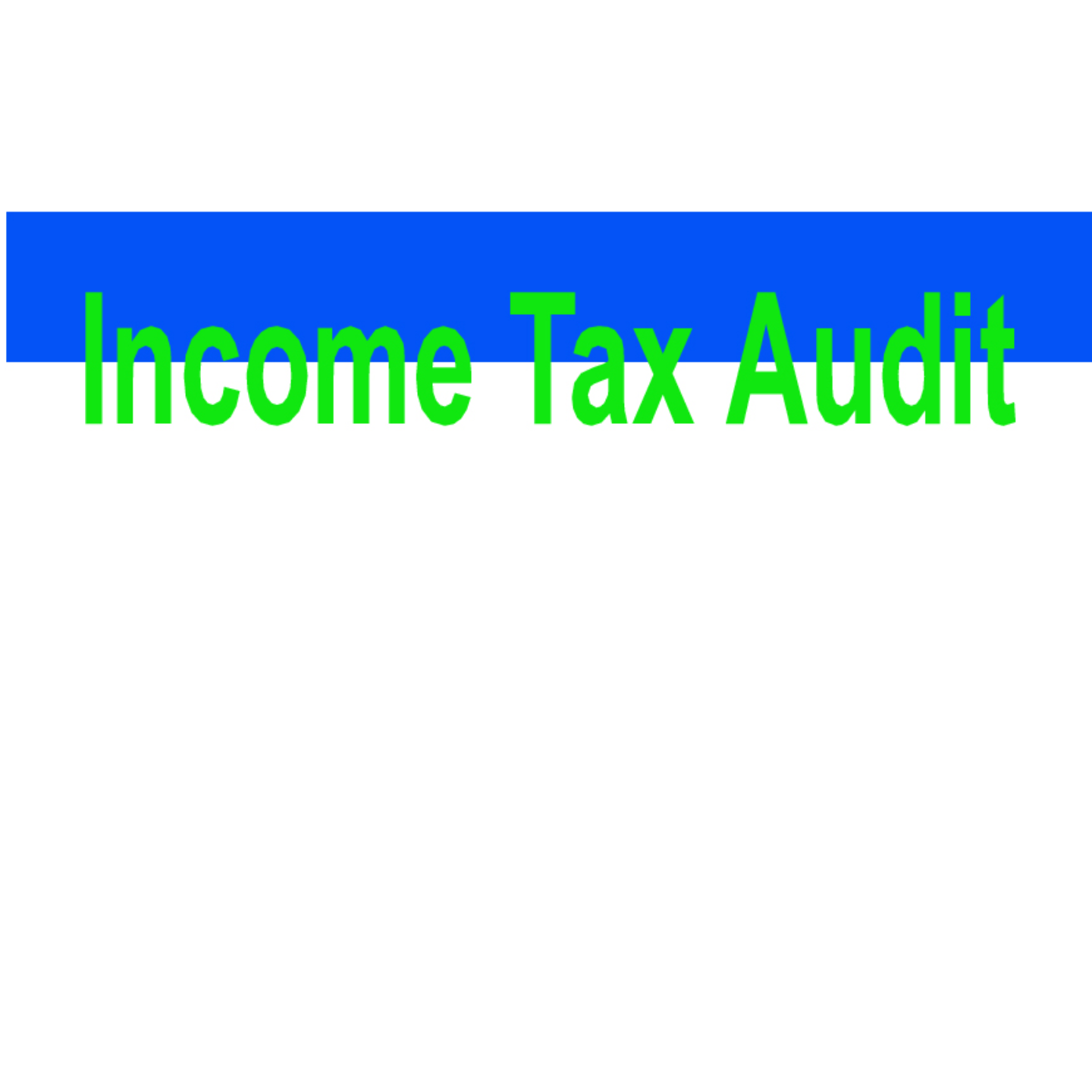 Income Tax Audit(Above 5 Crore Upto 10 Crore) 