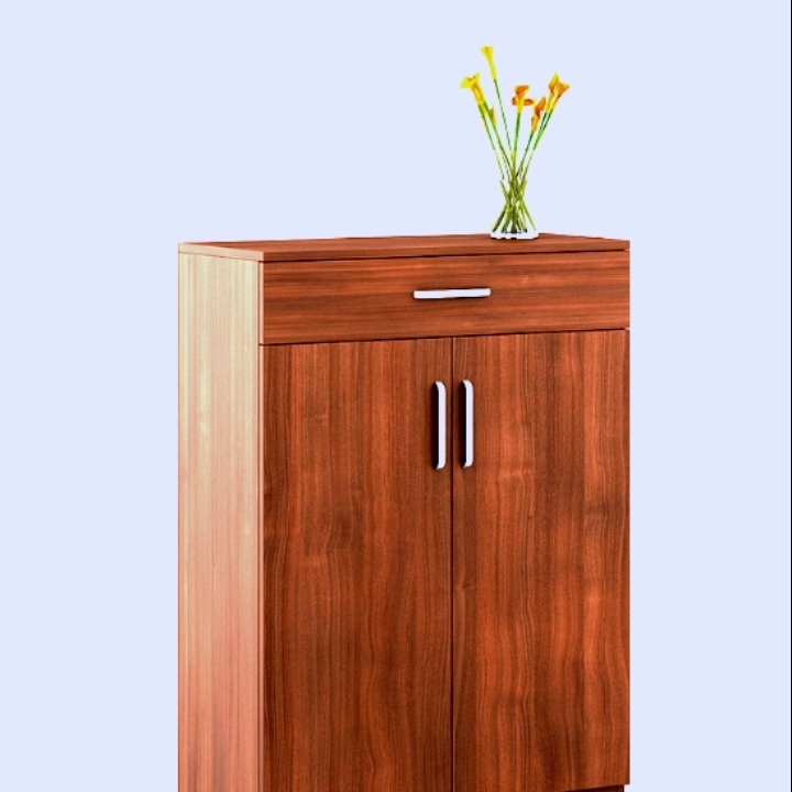  2 Door Shoe Cabinet in Walnut Rigato Melamine Finish by Spacewood