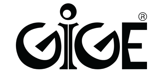 GIGE_high-removebg-preview (1).png